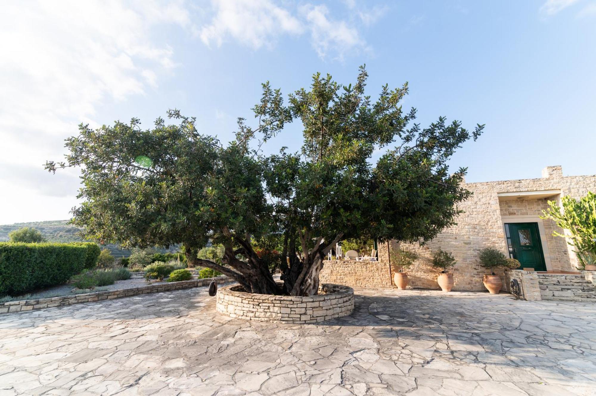 Moírai Carob Villa מראה חיצוני תמונה