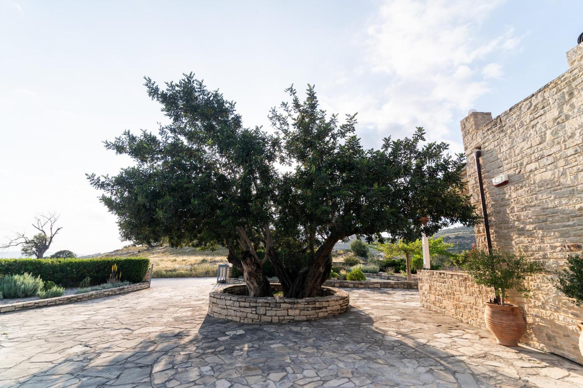 Moírai Carob Villa מראה חיצוני תמונה