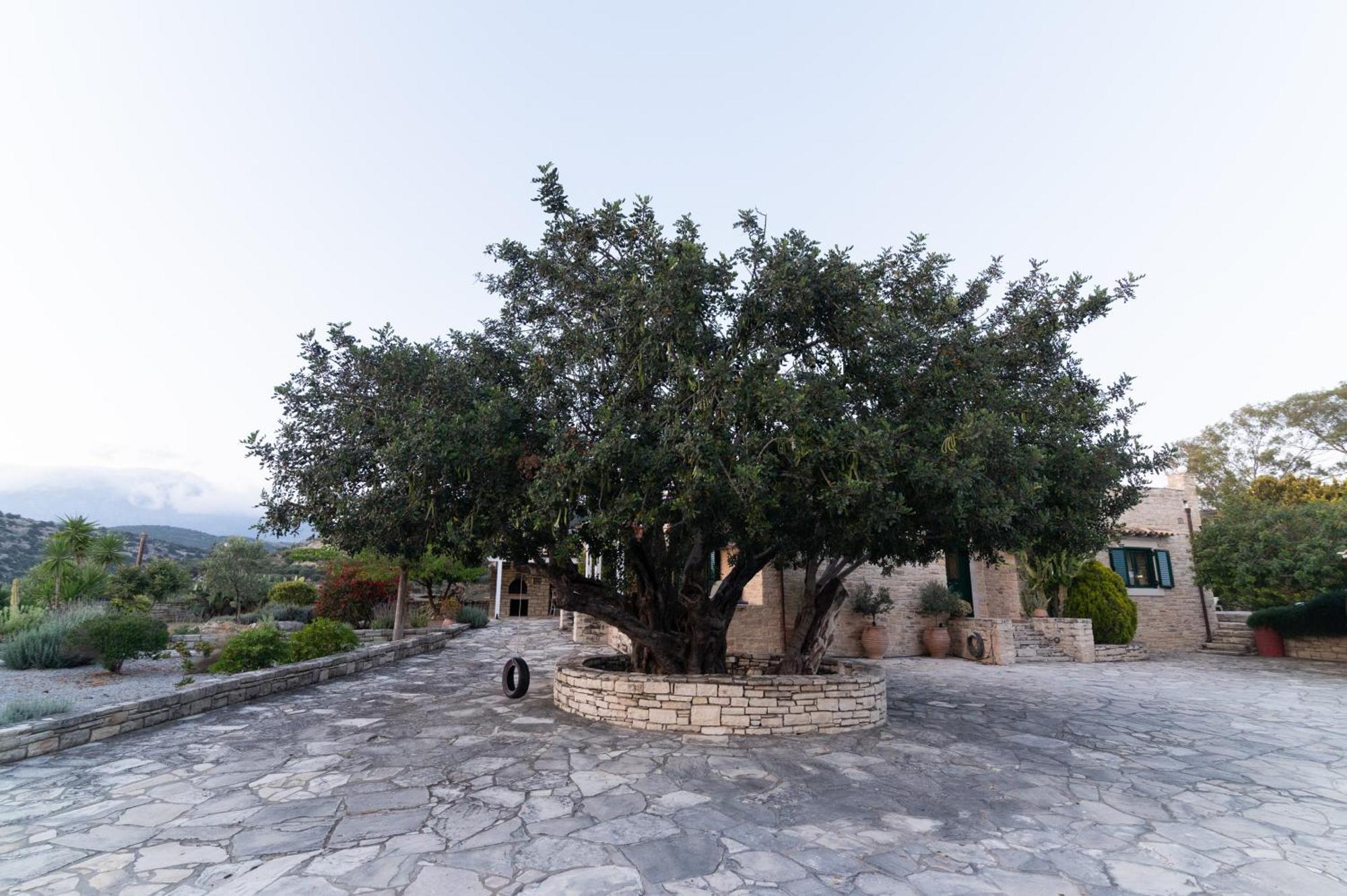 Moírai Carob Villa מראה חיצוני תמונה