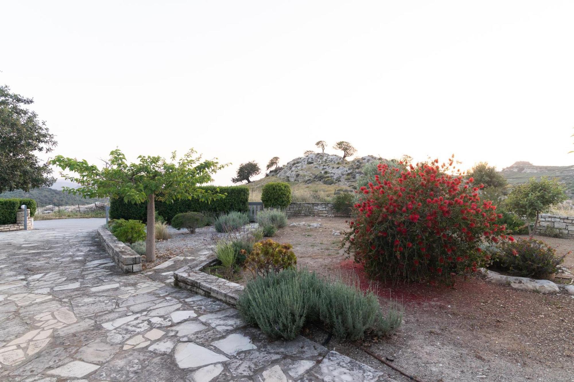 Moírai Carob Villa מראה חיצוני תמונה